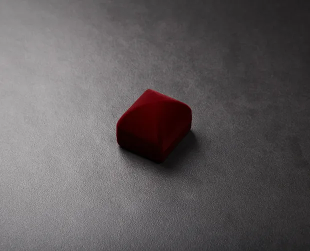 Футляр червоний П120